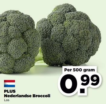 Aanbiedingen Plus nederlandse broccoli - Huismerk - Plus - Geldig van 10/09/2023 tot 16/09/2023 bij Plus