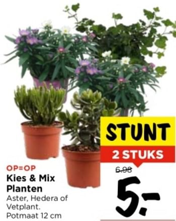 Aanbiedingen Kies + mix planten - Huismerk Vomar - Geldig van 10/09/2023 tot 16/09/2023 bij Vomar