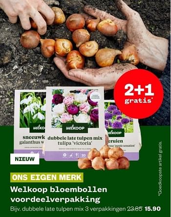 Aanbiedingen Welkoop bloembollen voordeelverpakking dubbele late tulpen mix 3 verpakkingen - Huismerk - Welkoop - Geldig van 04/09/2023 tot 24/09/2023 bij Welkoop