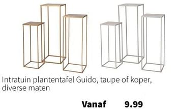 Aanbiedingen Intratuin plantentafel guido - Huismerk - Intratuin - Geldig van 11/09/2023 tot 17/09/2023 bij Intratuin
