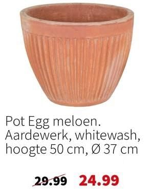 Aanbiedingen Pot egg meloen - Huismerk - Intratuin - Geldig van 11/09/2023 tot 17/09/2023 bij Intratuin