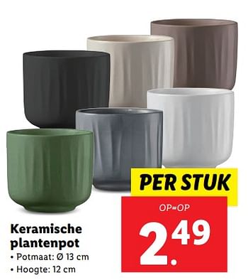Aanbiedingen Keramische plantenpot - Huismerk - Lidl - Geldig van 11/09/2023 tot 17/09/2023 bij Lidl
