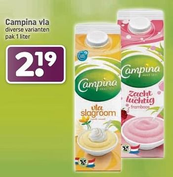 Aanbiedingen Campina vla - Campina - Geldig van 04/09/2023 tot 17/09/2023 bij Dagwinkel