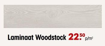 Aanbiedingen Laminaat woodstock - Huismerk - Kwantum - Geldig van 18/09/2023 tot 24/09/2023 bij Kwantum