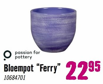 Aanbiedingen Bloempot ferry - passion for pottery - Geldig van 28/08/2023 tot 01/10/2023 bij Hornbach