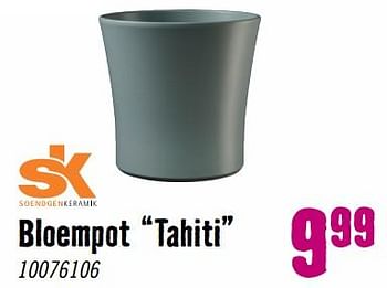Aanbiedingen Bloempot tahiti - soendgenkeramik - Geldig van 28/08/2023 tot 01/10/2023 bij Hornbach