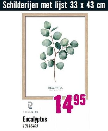 Aanbiedingen Schilderijen met lijst eucalyptus - Pureliving - Geldig van 28/08/2023 tot 01/10/2023 bij Hornbach