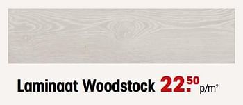 Aanbiedingen Laminaat woodstock - Huismerk - Kwantum - Geldig van 25/09/2023 tot 11/10/2023 bij Kwantum