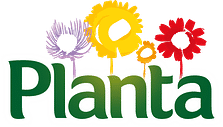 Planta